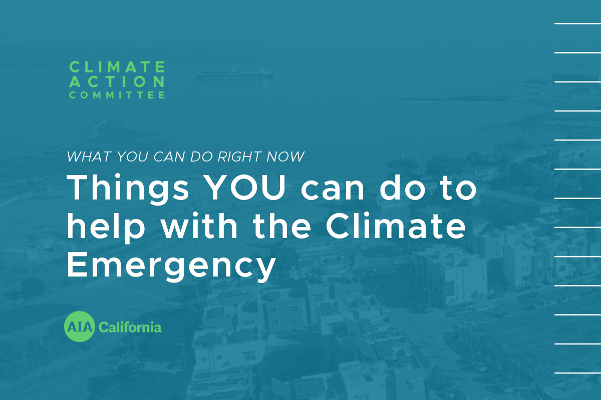 WYCDRN Things YOU Can Do To Help With The Climate Emergency 1200x800 1