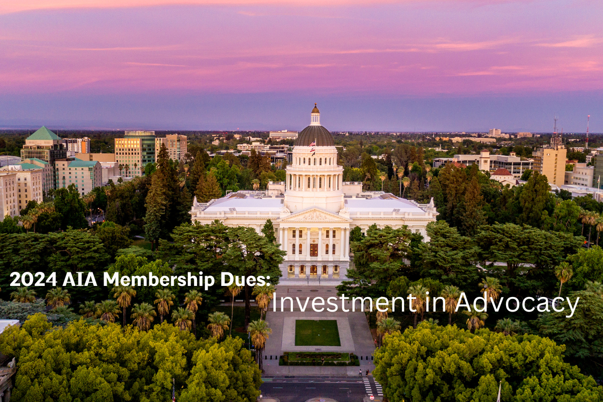 Dues Investment In Advocacy Canva 12 19 23