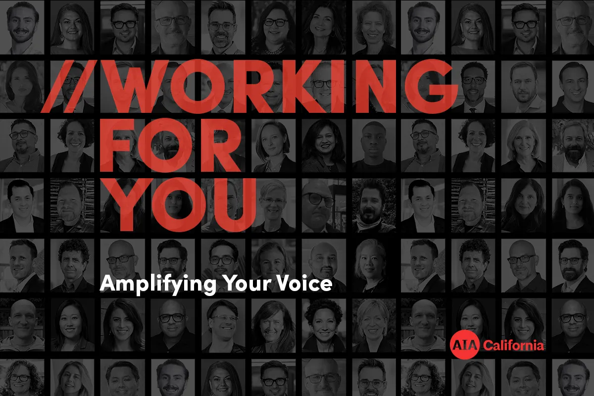 AIACA Working for You Amplifying Your Voice x copy