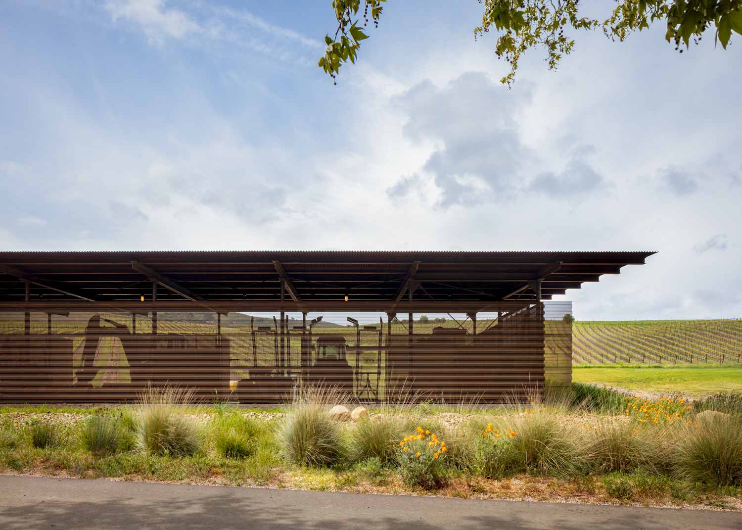 Alma Rosa Vineyard Barn CK Ray Castro